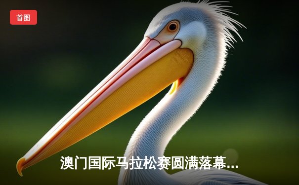 澳门国际马拉松赛圆满落幕 埃塞俄比亚选手包揽男女冠军